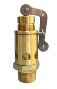 High Pressure Safety Valve PSV 25mm