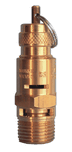Brass Soft Seat Safety Valve